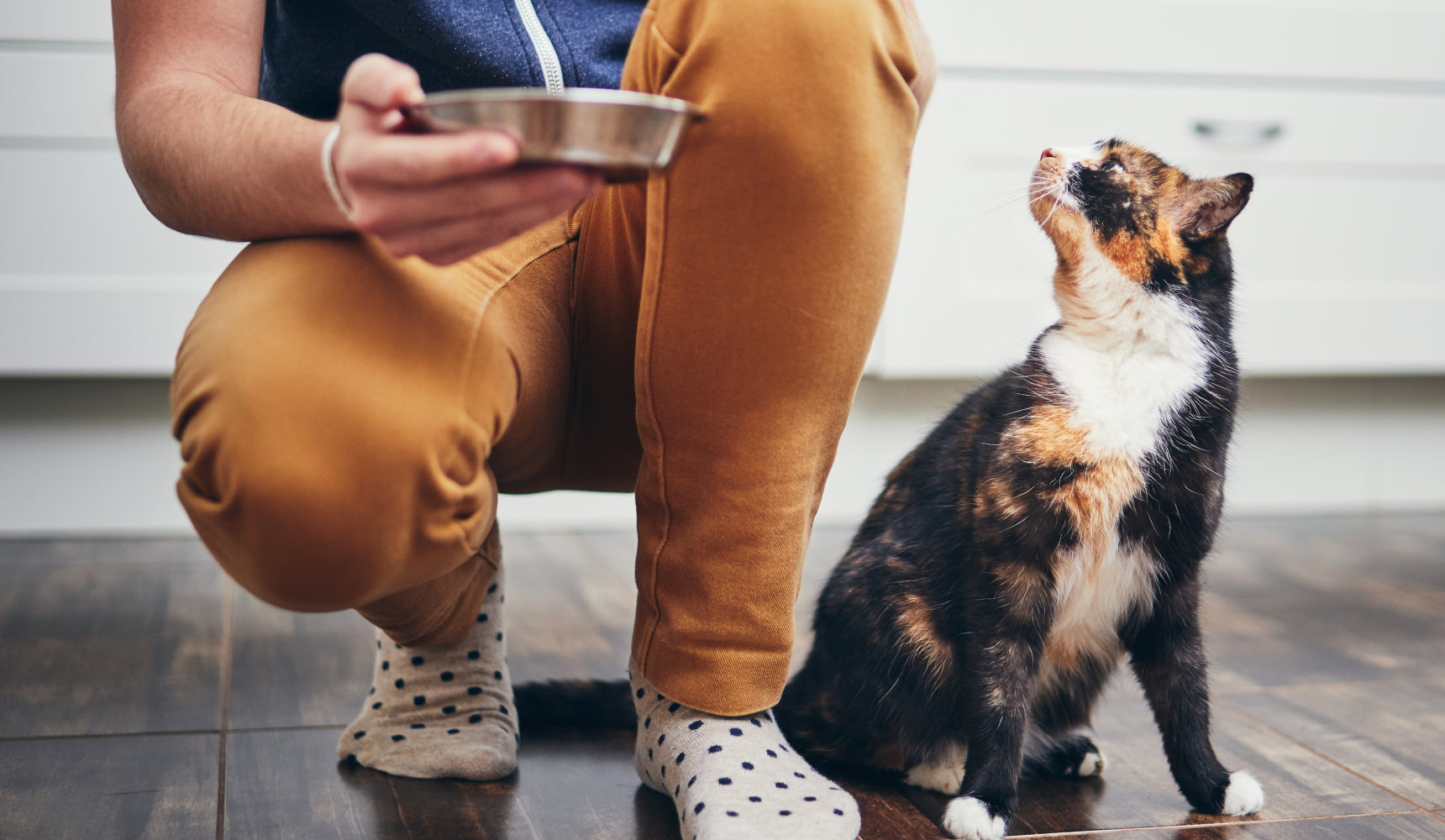 Families with pets, what hard surface floor is best?