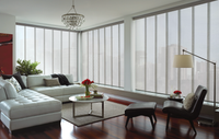 Worldwide Flooring Design Center Skyline® Panel-Track Blinds Skyline® Panel-Track Blinds Hunter Douglas 