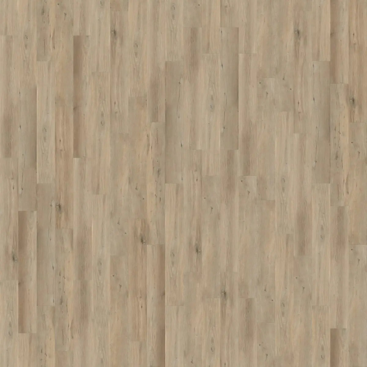LONGBOARD ICON - Malibu Swell