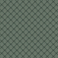 Worldwide Flooring Design Center DAZZLING VARIETY DAZZLING VARIETY Karastan Floors