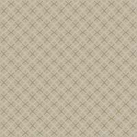 Worldwide Flooring Design Center DAZZLING VARIETY DAZZLING VARIETY Karastan Floors