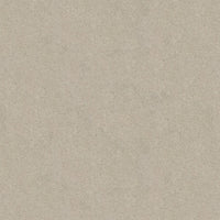 Worldwide Flooring Design Center TREASURED SIMPLICITY TREASURED SIMPLICITY Karastan Floors