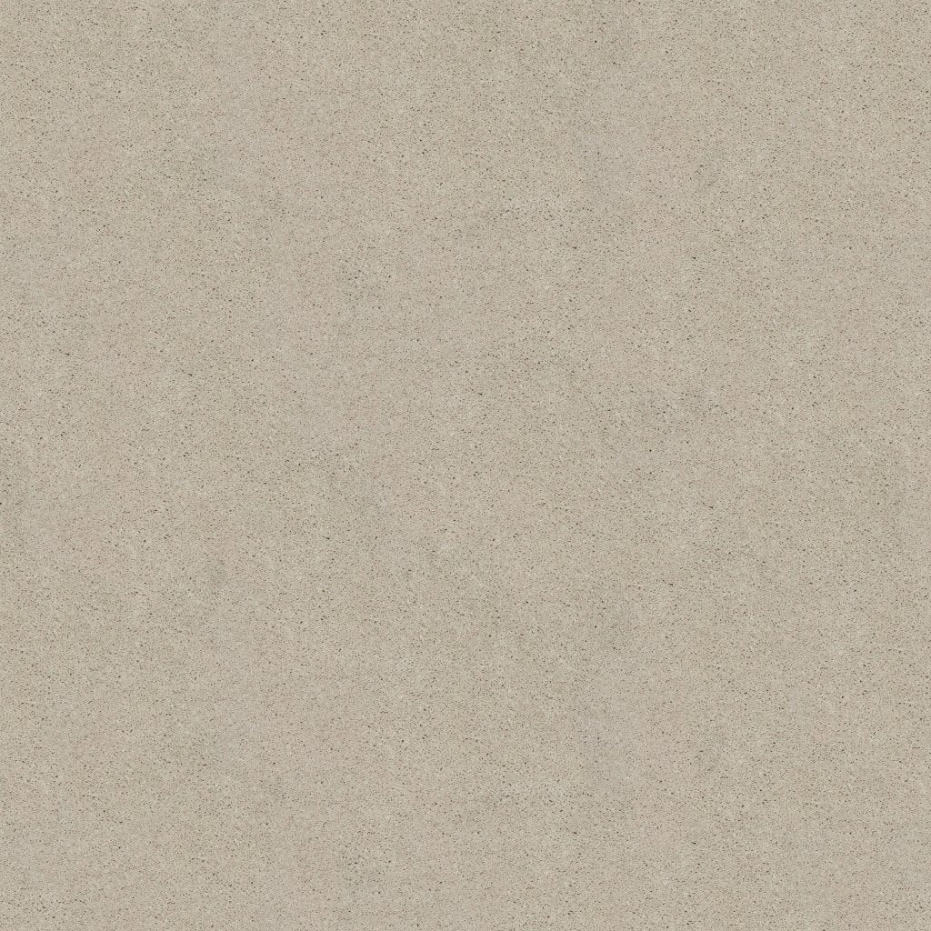 Worldwide Flooring Design Center TREASURED SIMPLICITY TREASURED SIMPLICITY Karastan Floors