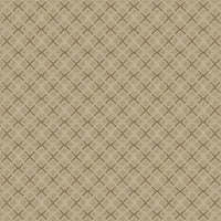 Worldwide Flooring Design Center DAZZLING VARIETY DAZZLING VARIETY Karastan Floors