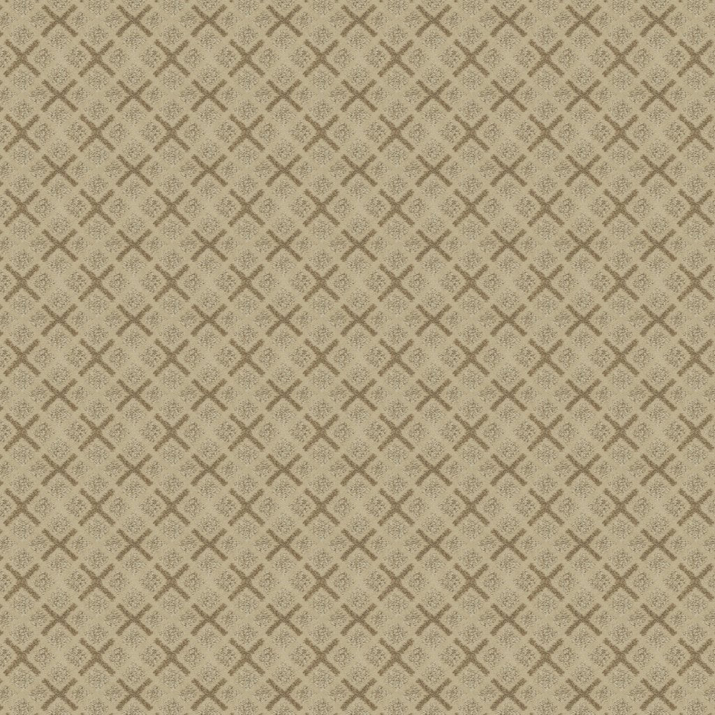 Worldwide Flooring Design Center DAZZLING VARIETY DAZZLING VARIETY Karastan Floors