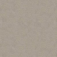 Worldwide Flooring Design Center TREASURED SIMPLICITY TREASURED SIMPLICITY Karastan Floors