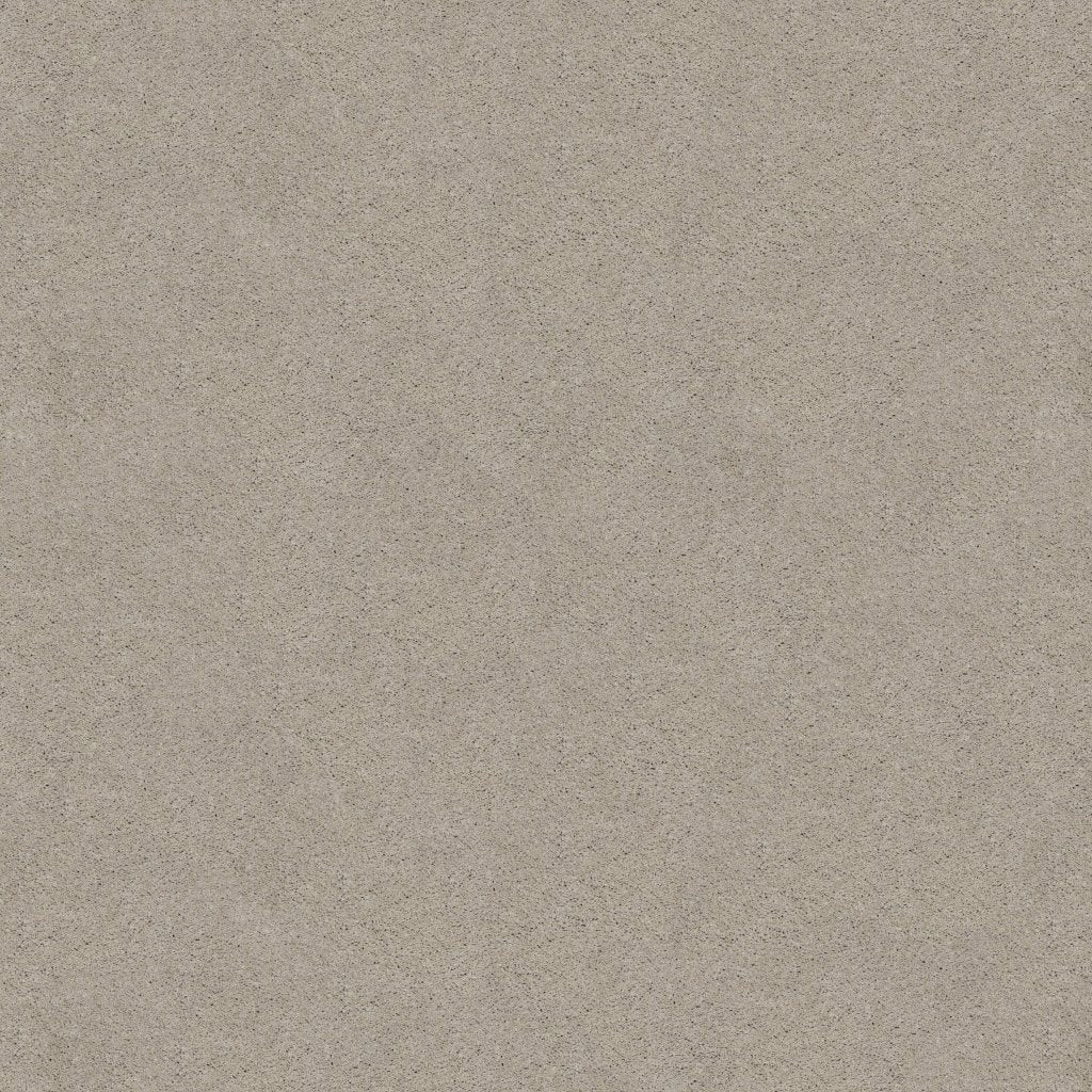 Worldwide Flooring Design Center TREASURED SIMPLICITY TREASURED SIMPLICITY Karastan Floors
