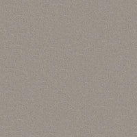 Worldwide Flooring Design Center TREASURED SIMPLICITY TREASURED SIMPLICITY Karastan Floors