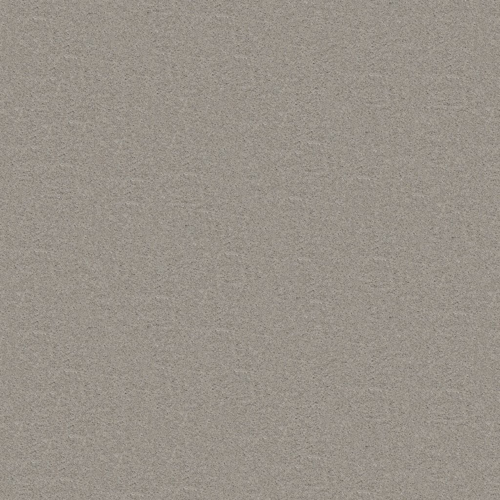 Worldwide Flooring Design Center TREASURED SIMPLICITY TREASURED SIMPLICITY Karastan Floors