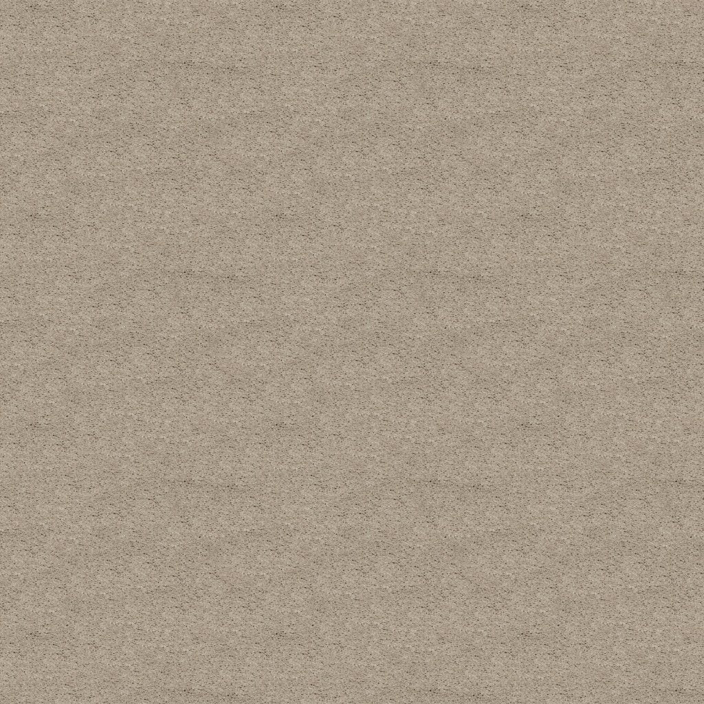 Worldwide Flooring Design Center TREASURED SIMPLICITY TREASURED SIMPLICITY Karastan Floors