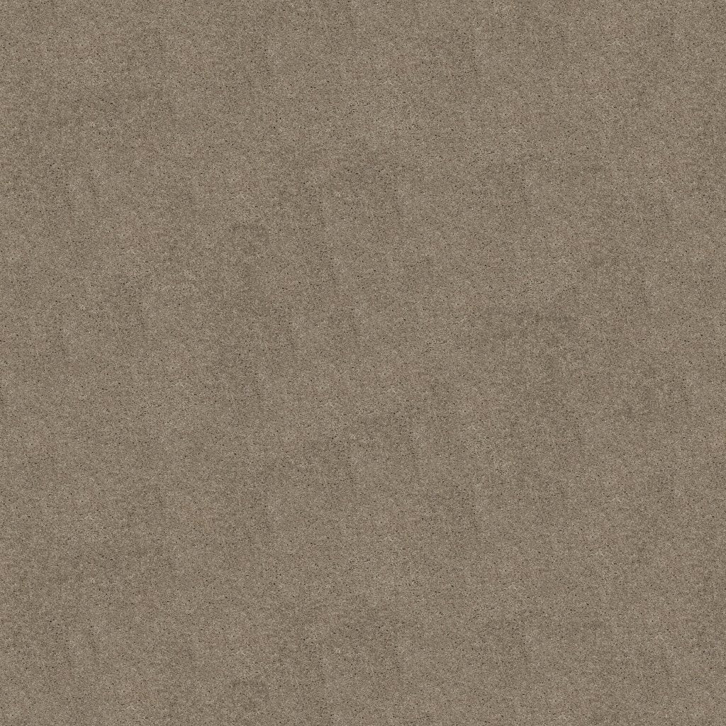 Worldwide Flooring Design Center TREASURED SIMPLICITY TREASURED SIMPLICITY Karastan Floors