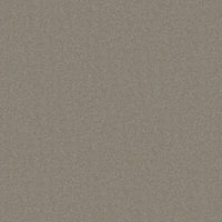 Worldwide Flooring Design Center TREASURED SIMPLICITY TREASURED SIMPLICITY Karastan Floors