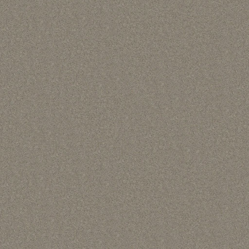 Worldwide Flooring Design Center TREASURED SIMPLICITY TREASURED SIMPLICITY Karastan Floors