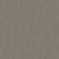 Worldwide Flooring Design Center TREASURED SIMPLICITY TREASURED SIMPLICITY Karastan Floors