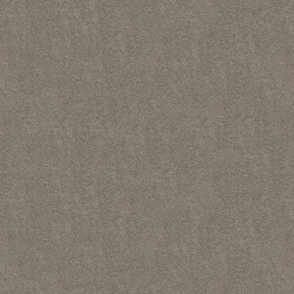 Worldwide Flooring Design Center TREASURED SIMPLICITY TREASURED SIMPLICITY Karastan Floors