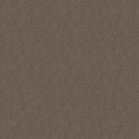 Worldwide Flooring Design Center TREASURED SIMPLICITY TREASURED SIMPLICITY Karastan Floors