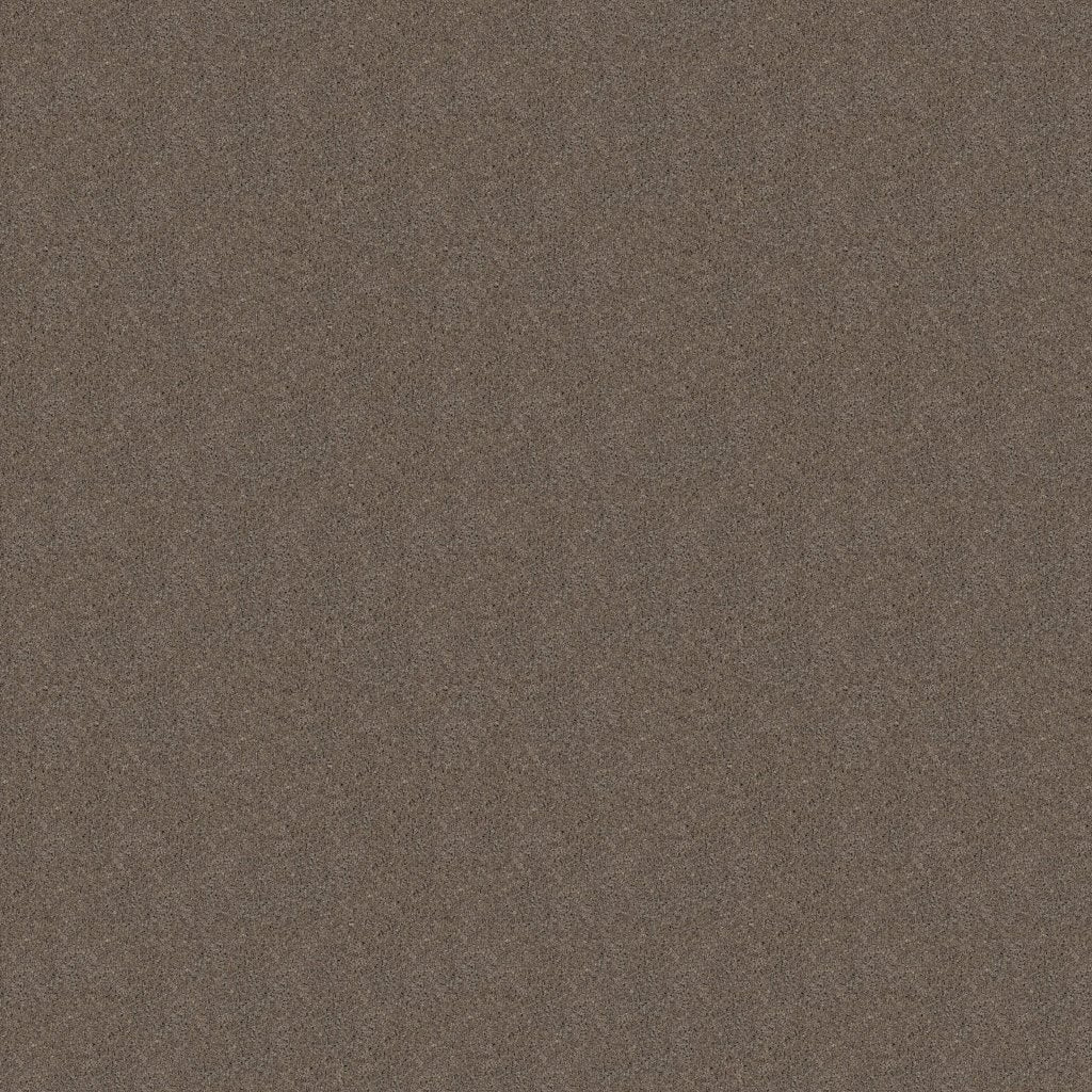 Worldwide Flooring Design Center TREASURED SIMPLICITY TREASURED SIMPLICITY Karastan Floors