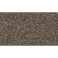 Worldwide Flooring Design Center TREASURED SIMPLICITY TREASURED SIMPLICITY Karastan Floors
