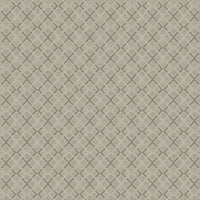 Worldwide Flooring Design Center DAZZLING VARIETY DAZZLING VARIETY Karastan Floors