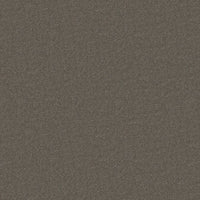 Worldwide Flooring Design Center TREASURED SIMPLICITY TREASURED SIMPLICITY Karastan Floors