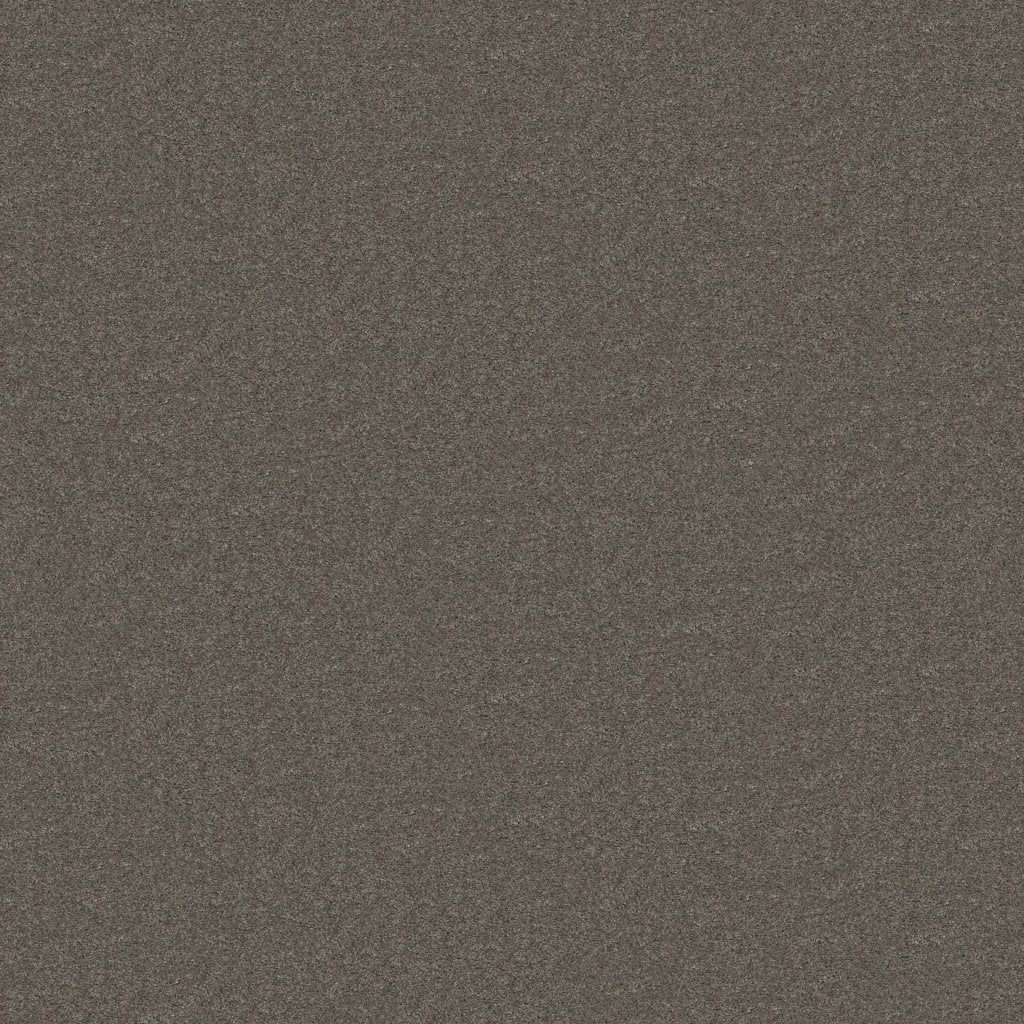 Worldwide Flooring Design Center TREASURED SIMPLICITY TREASURED SIMPLICITY Karastan Floors