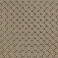 Worldwide Flooring Design Center DAZZLING VARIETY DAZZLING VARIETY Karastan Floors