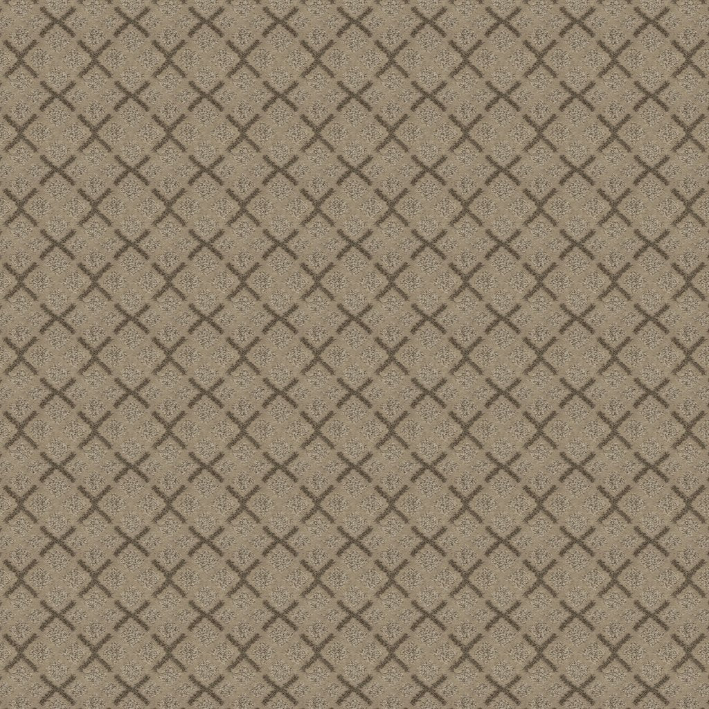 Worldwide Flooring Design Center DAZZLING VARIETY DAZZLING VARIETY Karastan Floors
