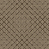 Worldwide Flooring Design Center DAZZLING VARIETY DAZZLING VARIETY Karastan Floors