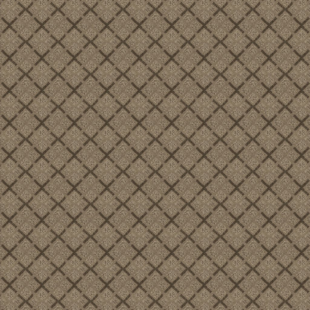 Worldwide Flooring Design Center DAZZLING VARIETY DAZZLING VARIETY Karastan Floors