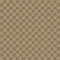 Worldwide Flooring Design Center DAZZLING VARIETY DAZZLING VARIETY Karastan Floors