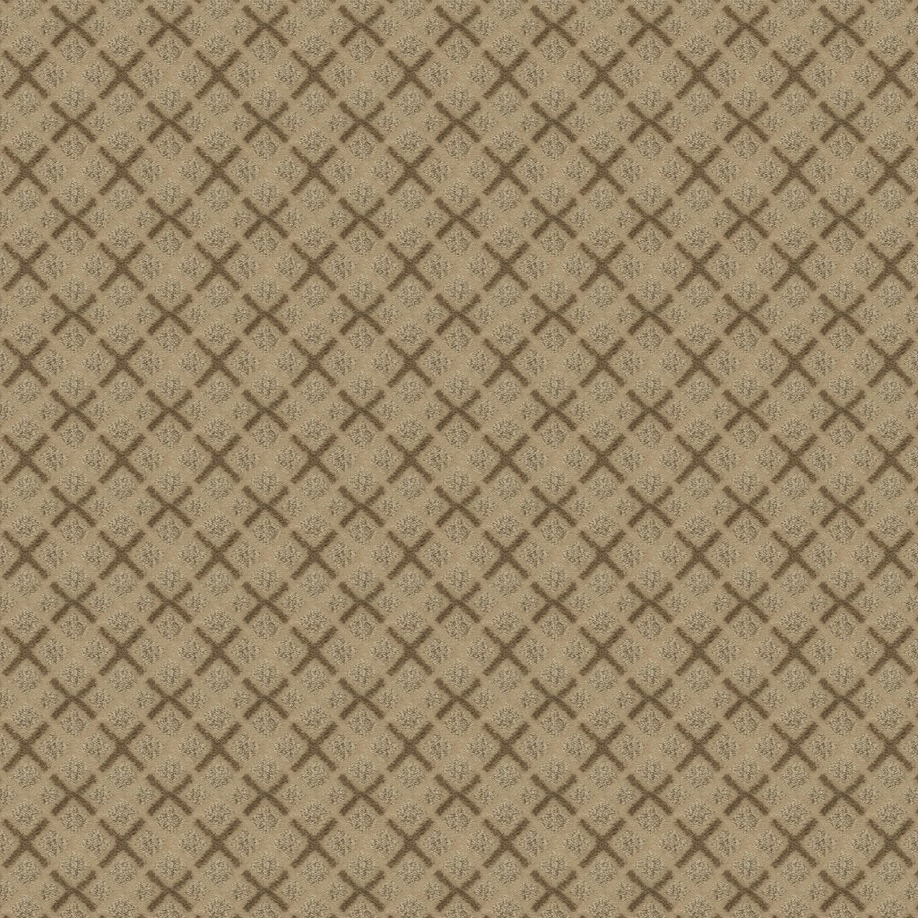 Worldwide Flooring Design Center DAZZLING VARIETY DAZZLING VARIETY Karastan Floors