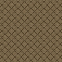 Worldwide Flooring Design Center DAZZLING VARIETY DAZZLING VARIETY Karastan Floors