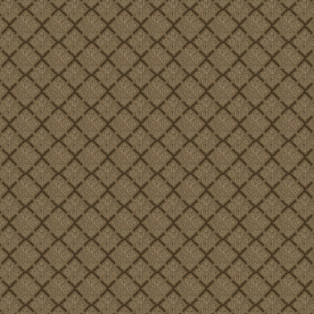 Worldwide Flooring Design Center DAZZLING VARIETY DAZZLING VARIETY Karastan Floors
