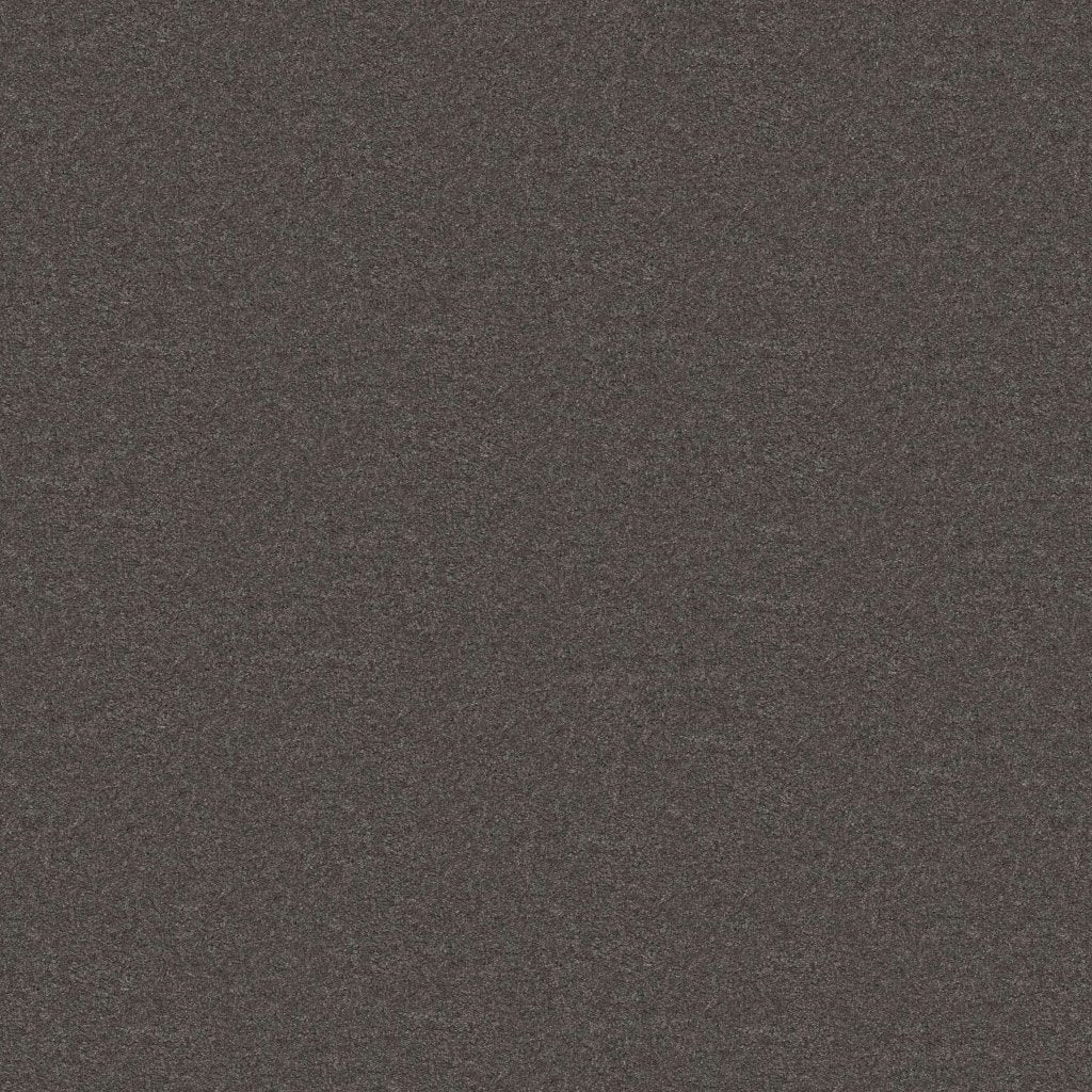 Worldwide Flooring Design Center TREASURED SIMPLICITY TREASURED SIMPLICITY Karastan Floors