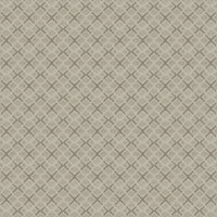 Worldwide Flooring Design Center DAZZLING VARIETY DAZZLING VARIETY Karastan Floors