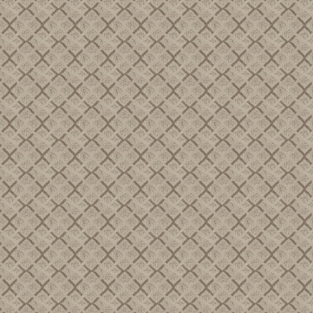 Worldwide Flooring Design Center DAZZLING VARIETY DAZZLING VARIETY Karastan Floors