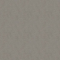 Worldwide Flooring Design Center TREASURED SIMPLICITY TREASURED SIMPLICITY Karastan Floors