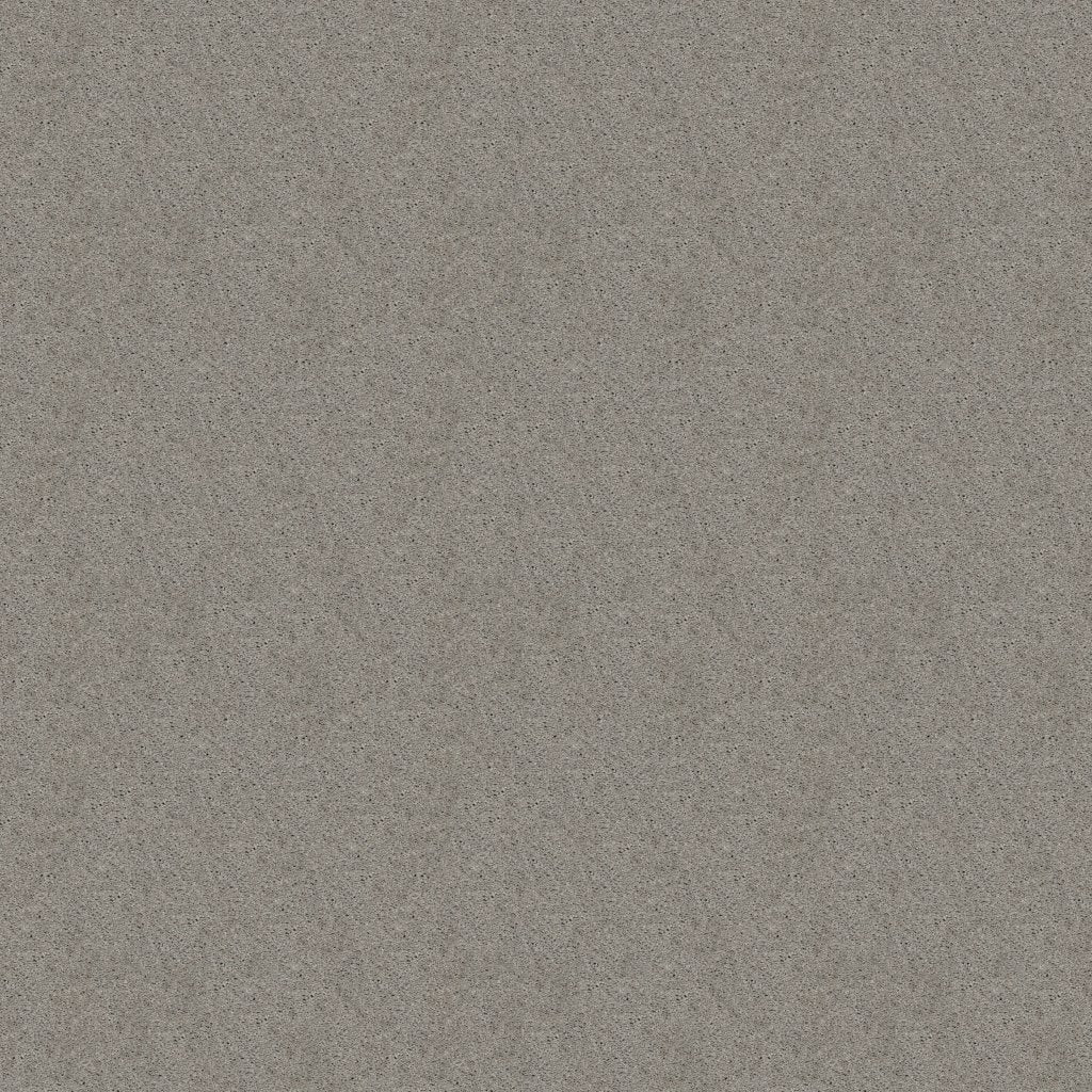 Worldwide Flooring Design Center TREASURED SIMPLICITY TREASURED SIMPLICITY Karastan Floors