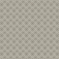 Worldwide Flooring Design Center DAZZLING VARIETY DAZZLING VARIETY Karastan Floors