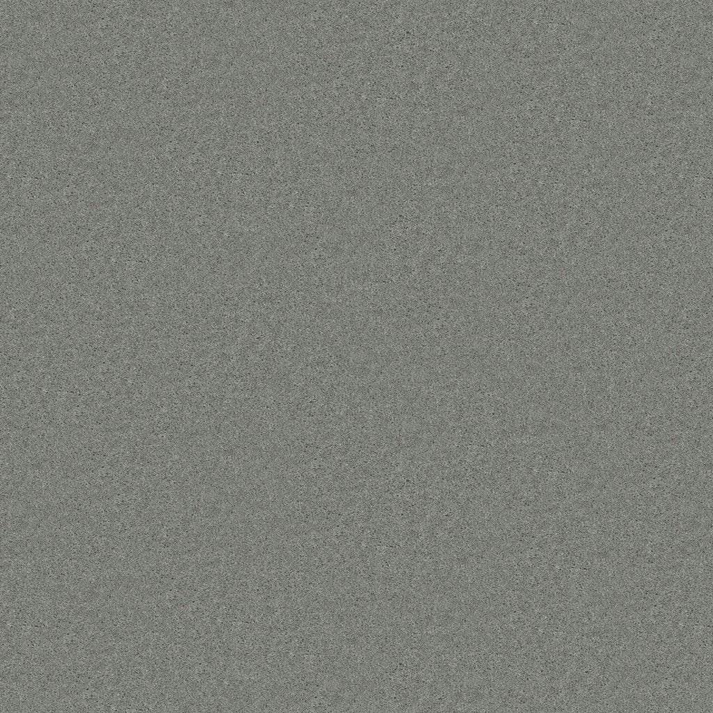 Worldwide Flooring Design Center TREASURED SIMPLICITY TREASURED SIMPLICITY Karastan Floors