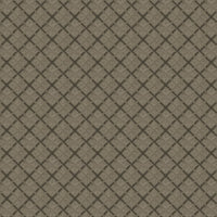 Worldwide Flooring Design Center DAZZLING VARIETY DAZZLING VARIETY Karastan Floors