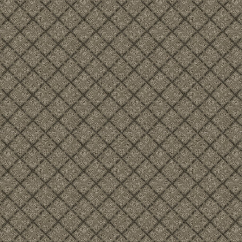 Worldwide Flooring Design Center DAZZLING VARIETY DAZZLING VARIETY Karastan Floors