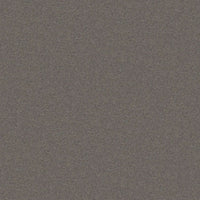 Worldwide Flooring Design Center TREASURED SIMPLICITY TREASURED SIMPLICITY Karastan Floors