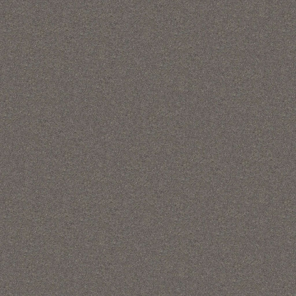Worldwide Flooring Design Center TREASURED SIMPLICITY TREASURED SIMPLICITY Karastan Floors