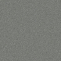 Worldwide Flooring Design Center TREASURED SIMPLICITY TREASURED SIMPLICITY Karastan Floors