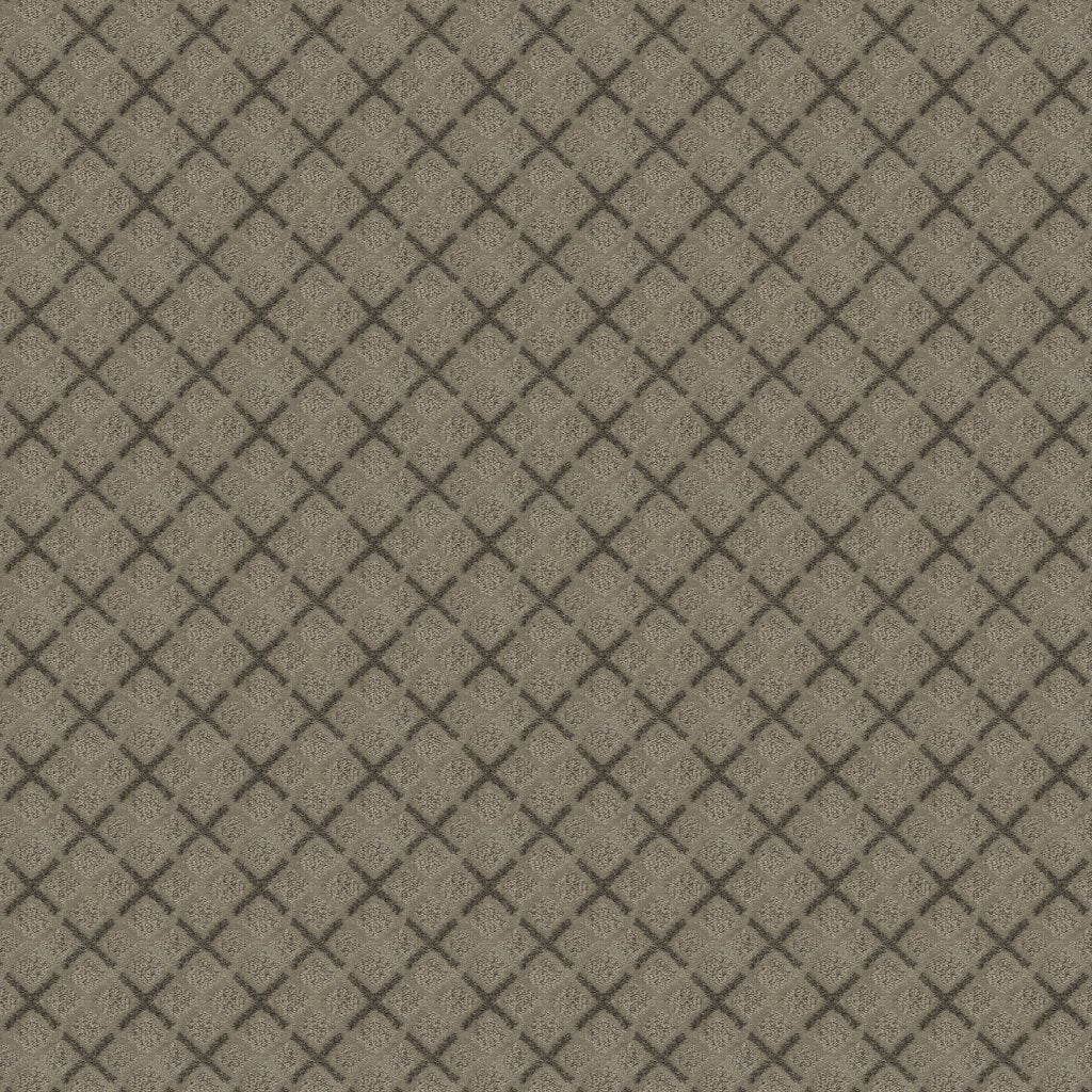 Worldwide Flooring Design Center DAZZLING VARIETY DAZZLING VARIETY Karastan Floors