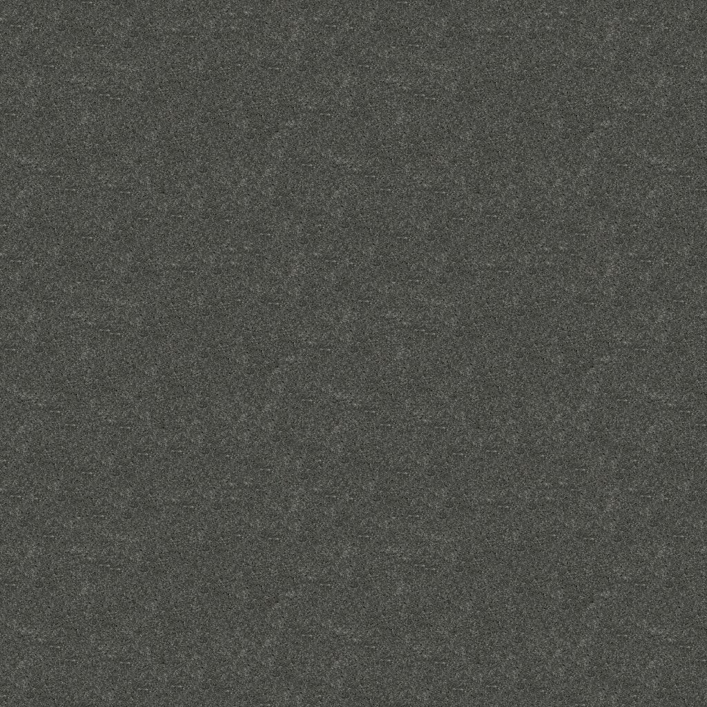 Worldwide Flooring Design Center TREASURED SIMPLICITY TREASURED SIMPLICITY Karastan Floors