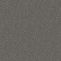 Worldwide Flooring Design Center TREASURED SIMPLICITY TREASURED SIMPLICITY Karastan Floors