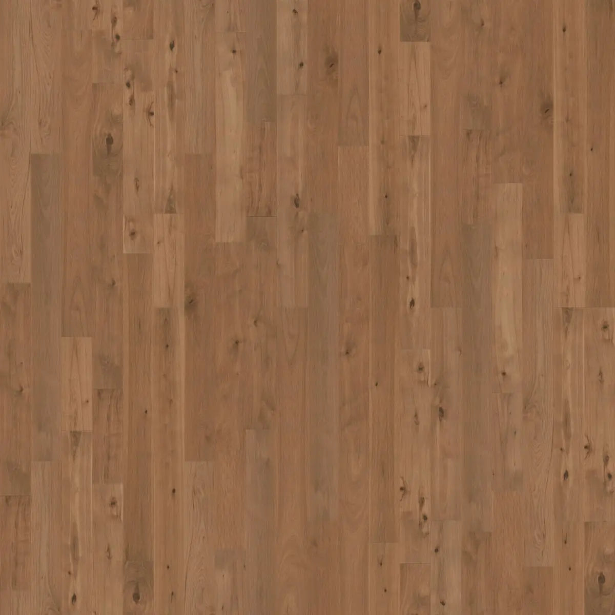 Worldwide Flooring Design Center VARIETALS- CURED HICKORY  Cali Floors