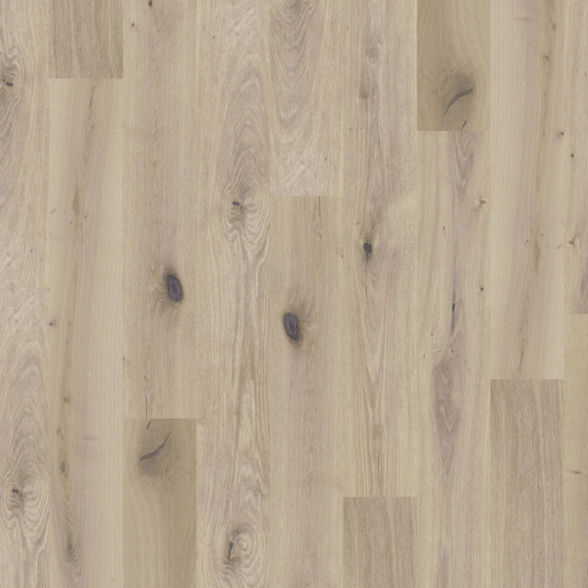 Worldwide Flooring Design Center GLOBAL WINDS - CHINOOK  DUCHATEAU Floors